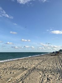 Seagulls on beach