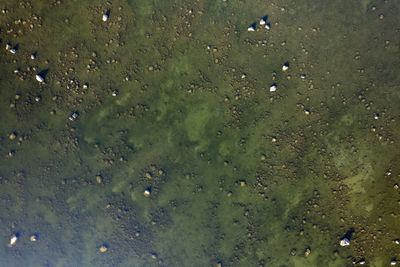 High angle view of rippled water