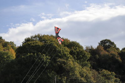 Low angle view of flag amidst trees against sky