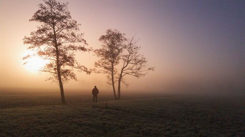 Silhouette of trees on field against sky during sunset