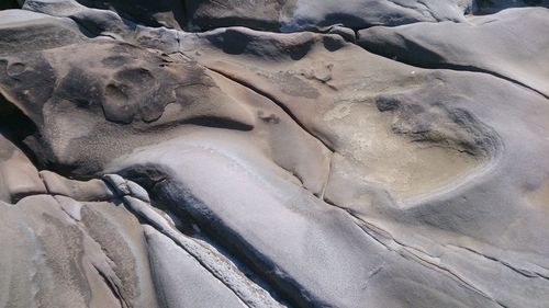 High angle view of ice on land