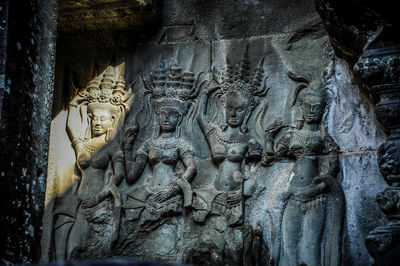 Close-up view of leaf