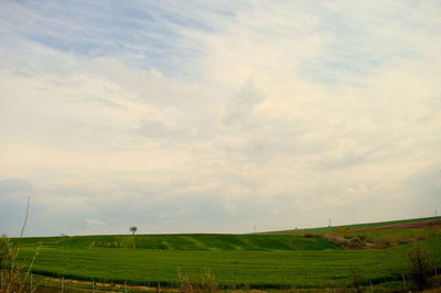 Scenic view of grassy field against cloudy sky