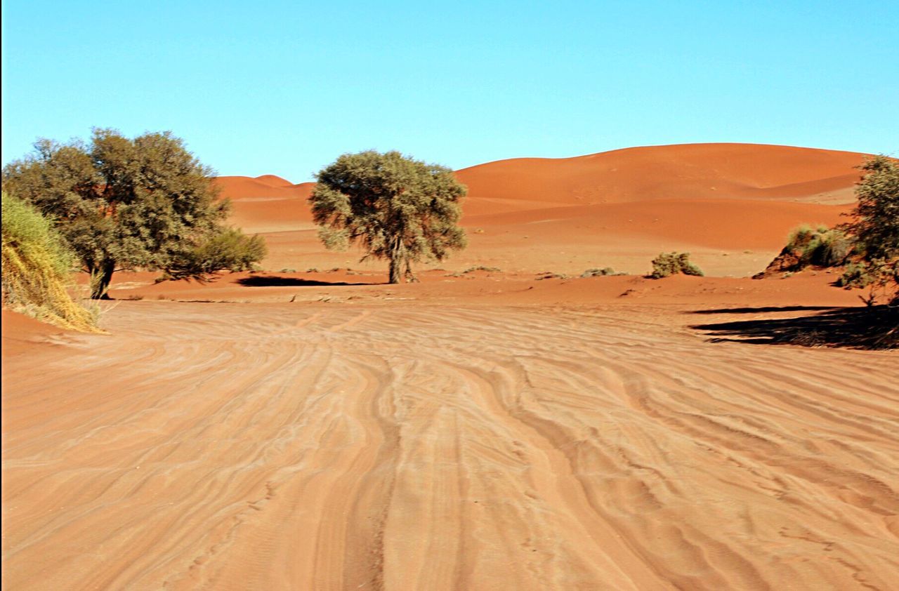 sand, clear sky, tranquility, tranquil scene, desert, landscape, tree, scenics, nature, beauty in nature, sand dune, arid climate, non-urban scene, blue, remote, sunlight, beach, idyllic, travel destinations, copy space