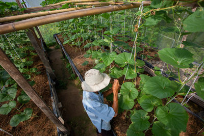 High angle view of person working in farm