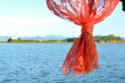 Close-up of red leaf on lake against sky