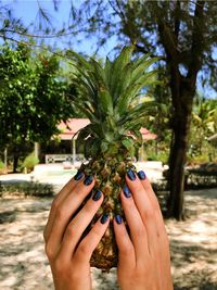 Cropped image of woman holding pineapple against tree