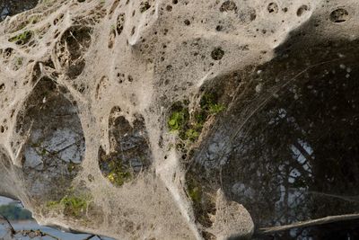 Close-up of water on rock