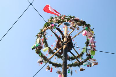 Low angle view of flowering plant against clear sky