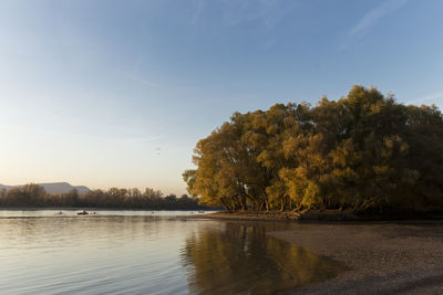 Scenic view of lake by trees against sky