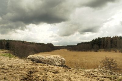 Scenic view of field against sky