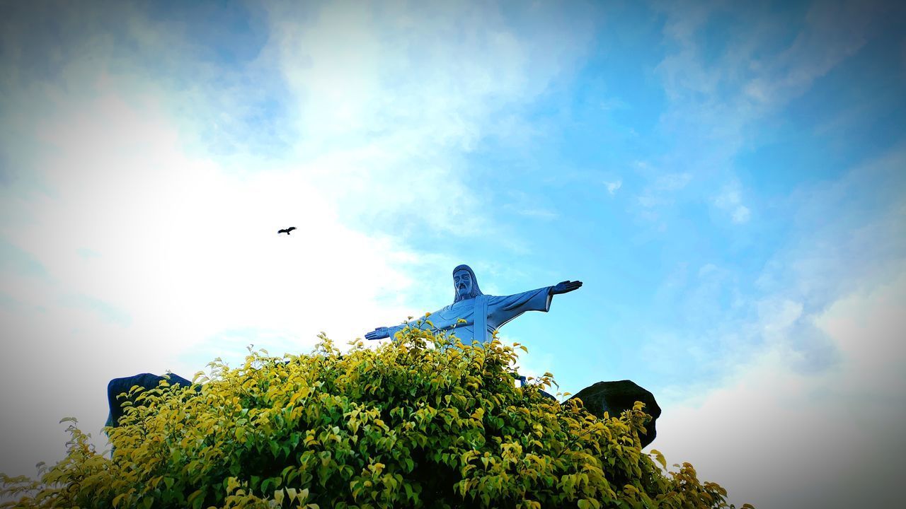 LOW ANGLE VIEW OF SEAGULLS FLYING