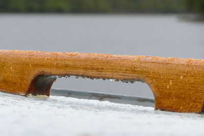 Close-up of snow on riverbank