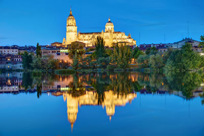 The cathedral of salamanca and the river tormes at night