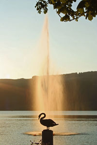 Fountain in a lake