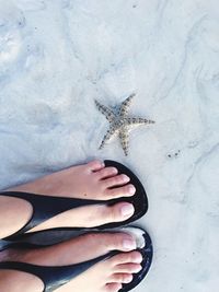 Low section of woman by starfish at beach