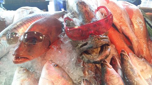 Close-up of fish for sale in market