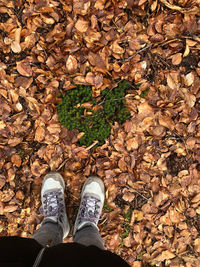 Low section of person standing on dry leaves