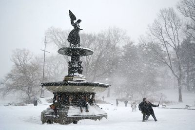 People traveling at central park during winter