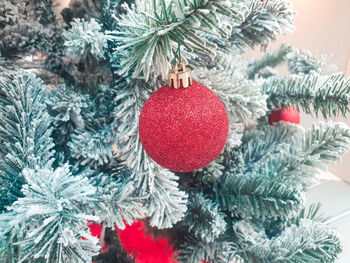 Close-up of christmas decorations hanging on tree