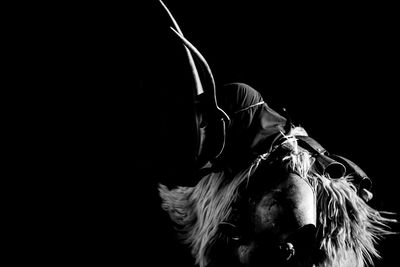 Close-up of a horse against black background