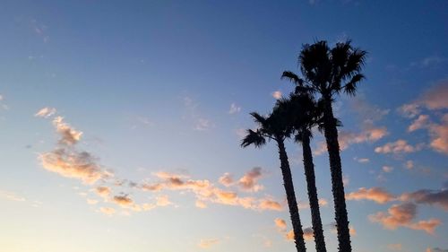 Low angle view of silhouette palm tree against sky