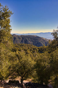 Scenic view of landscape against clear sky