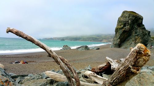 Driftwood on beach by sea against cloudy foggy blue sky