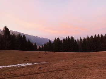 Scenic view of field against sky during sunset