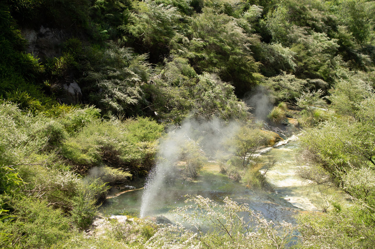 plant, beauty in nature, tree, stream, water feature, nature, growth, green, water, vegetation, waterfall, wilderness, scenics - nature, body of water, river, motion, no people, day, forest, land, rainforest, watercourse, non-urban scene, flowing water, rapid, outdoors, nature reserve, tranquility, high angle view, sunlight, environment, foliage, lush foliage, jungle, tranquil scene, woodland, natural environment, long exposure