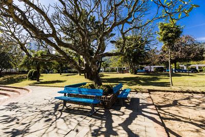 Empty bench in park