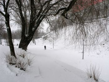 Bare trees on snow covered field during winter