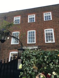 Low angle view of ivy growing on building