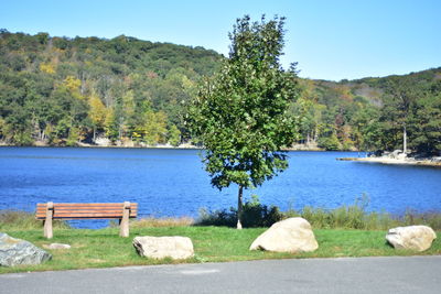 Scenic view of lake by trees against clear sky