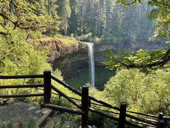 Scenic view of waterfall in forest