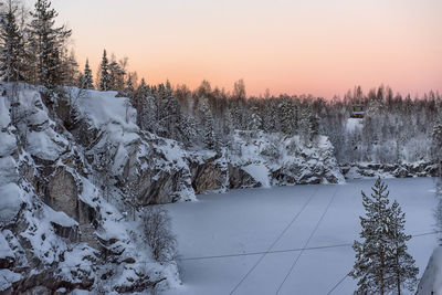 Snow covered plants against sky during sunset