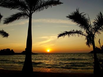 Silhouette trees on beach against sky during sunset