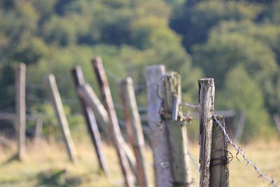 Close-up of barbed wire fence on field