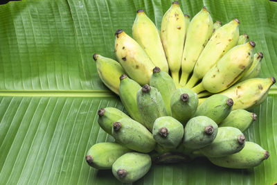 High angle view of fruits on leaves