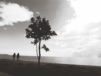 Silhouette tree by sea against sky