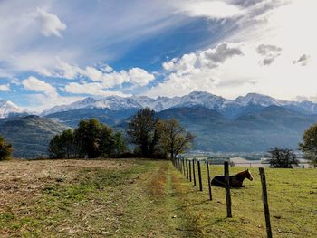 Scenic view of field and mountains against sky