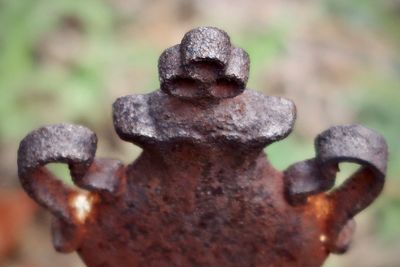 Close-up of rusty metal