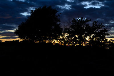Silhouette trees against sky during sunset