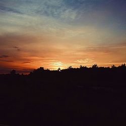 Silhouette of trees against dramatic sky