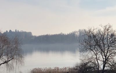 Bare trees by river against sky during winter