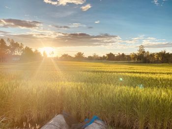 Scenic view of field against sky during sunset