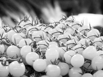 Close-up of candies