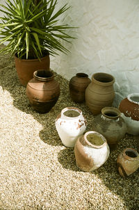 Potted plants in a garden in a villa in portugal. shot on 35mm kodak portra 160 film.