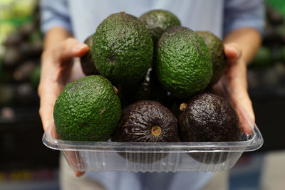 Close-up of person holding fruits