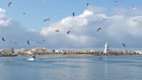 Seagulls flying over sea against sky